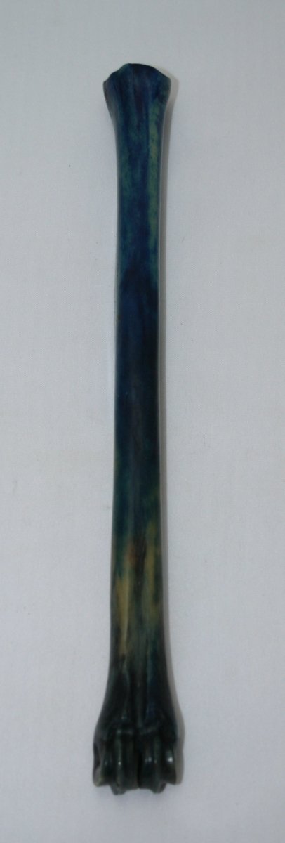 NB801L14 Impala Bone - Jantz Supply