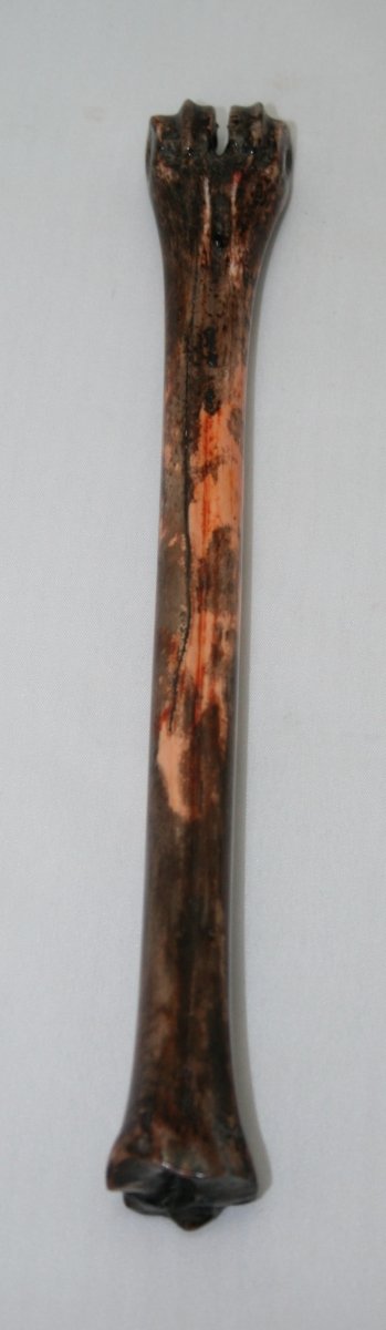 NB801M3 Impala Bone - Jantz Supply