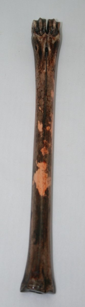 NB801M5 Impala Bone - Jantz Supply