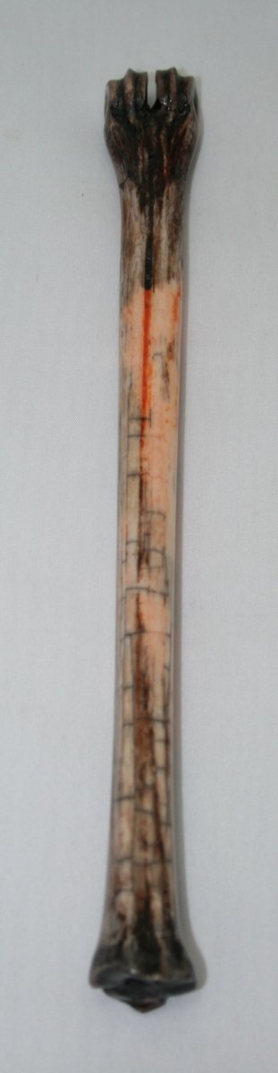 NB801M7 Impala Bone