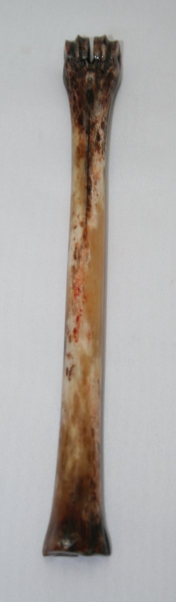 NB801M9 Impala Bone