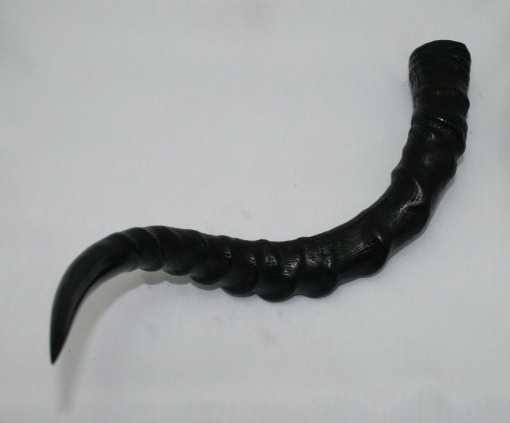 nb802t18-impala-horn-