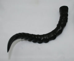 nb802t18-impala-horn-