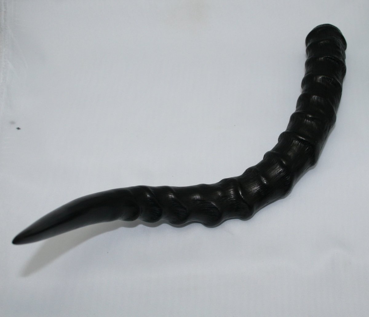 NB802T2 Impala Horn - Jantz Supply