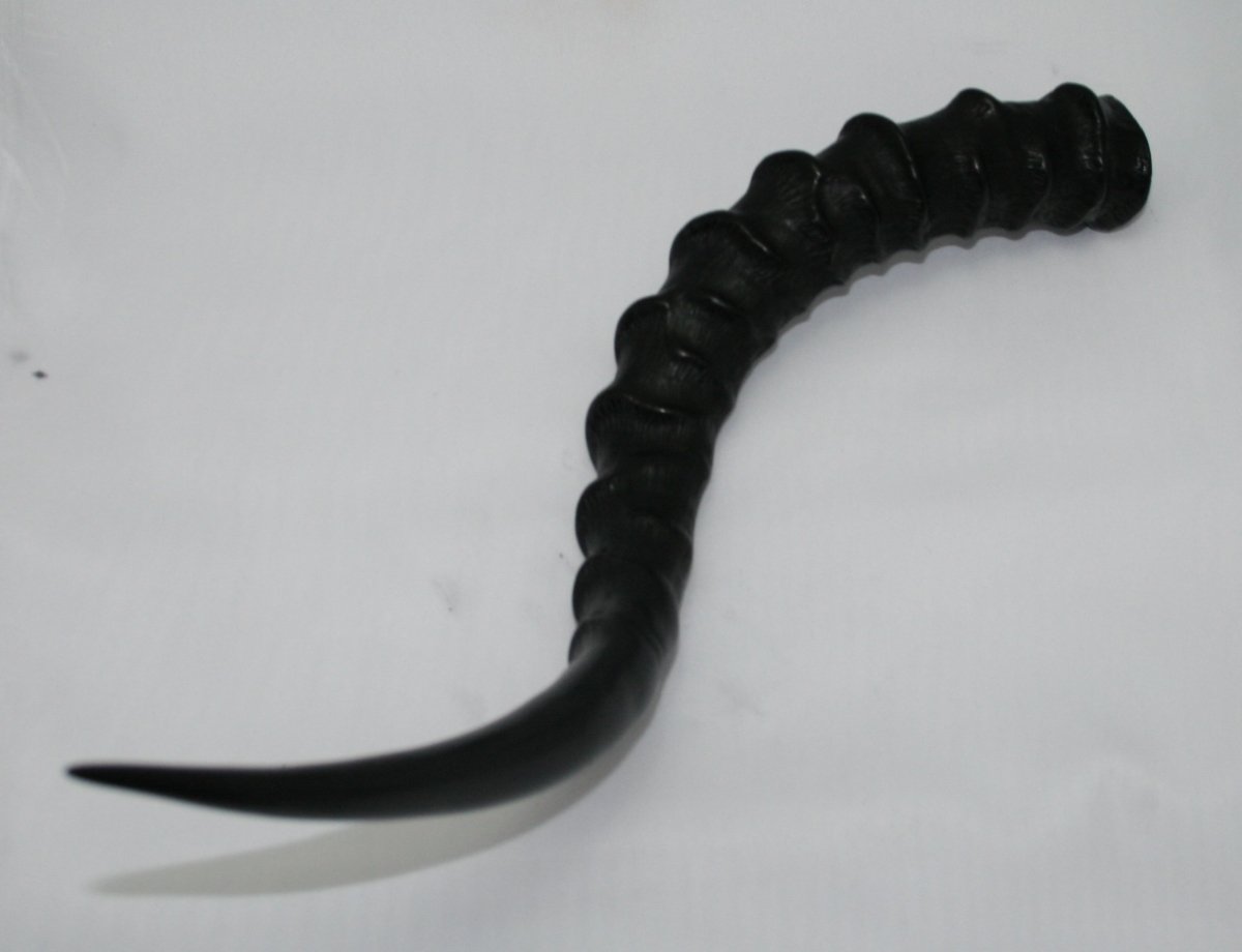 NB802T8 Impala Horn - Jantz Supply