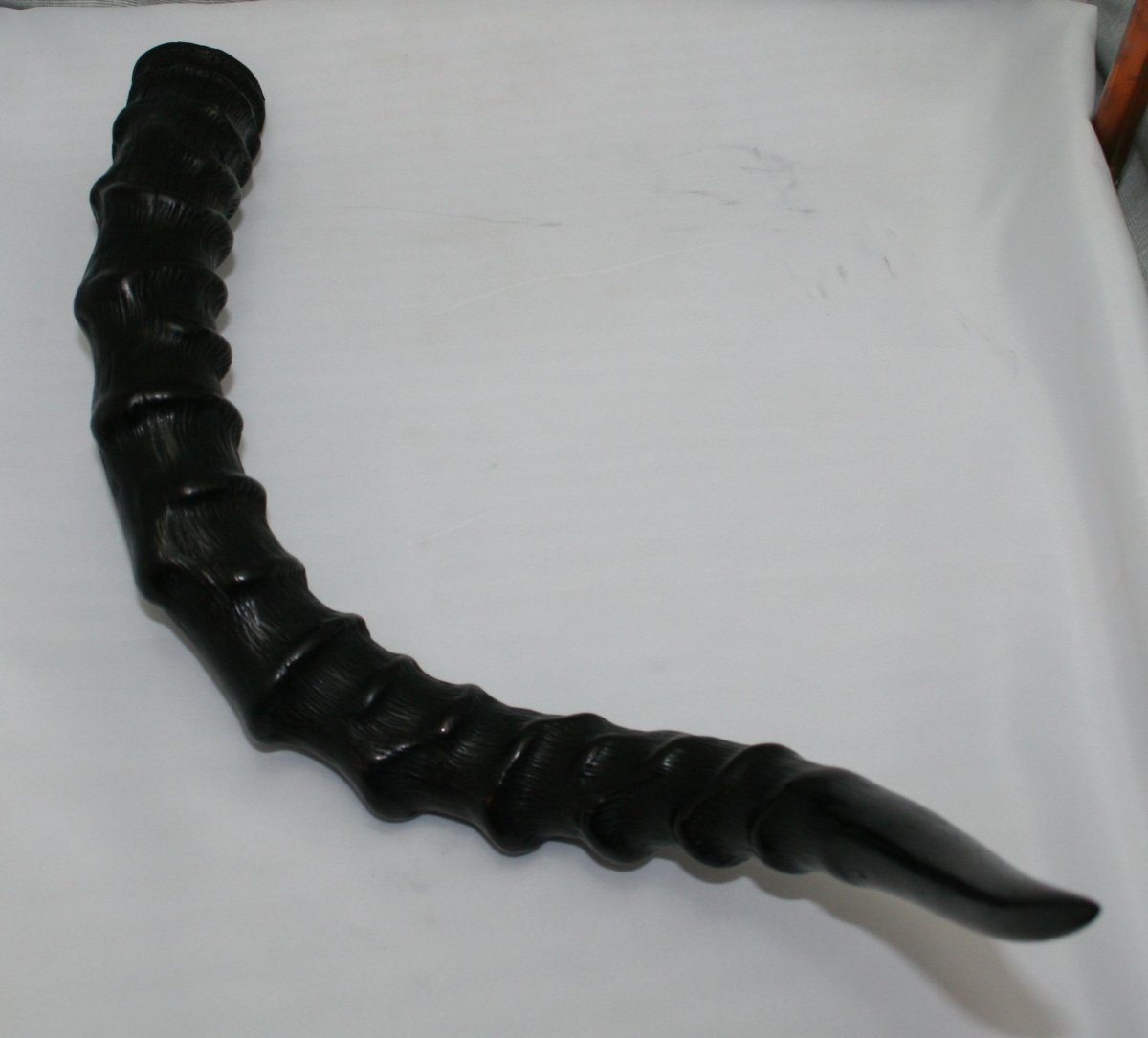 NB802Y15 Impala Horn - Jantz Supply