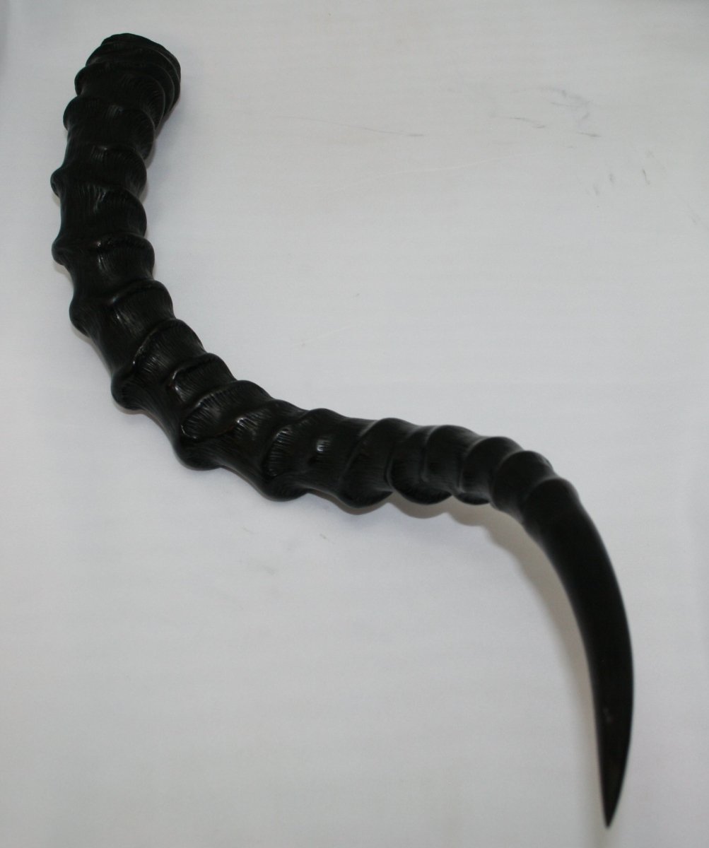 NB802Y16 Impala Horn - Jantz Supply