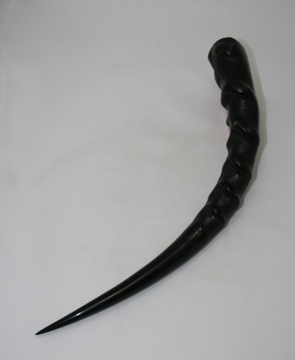 NB802Y39 Impala Horn - Jantz Supply