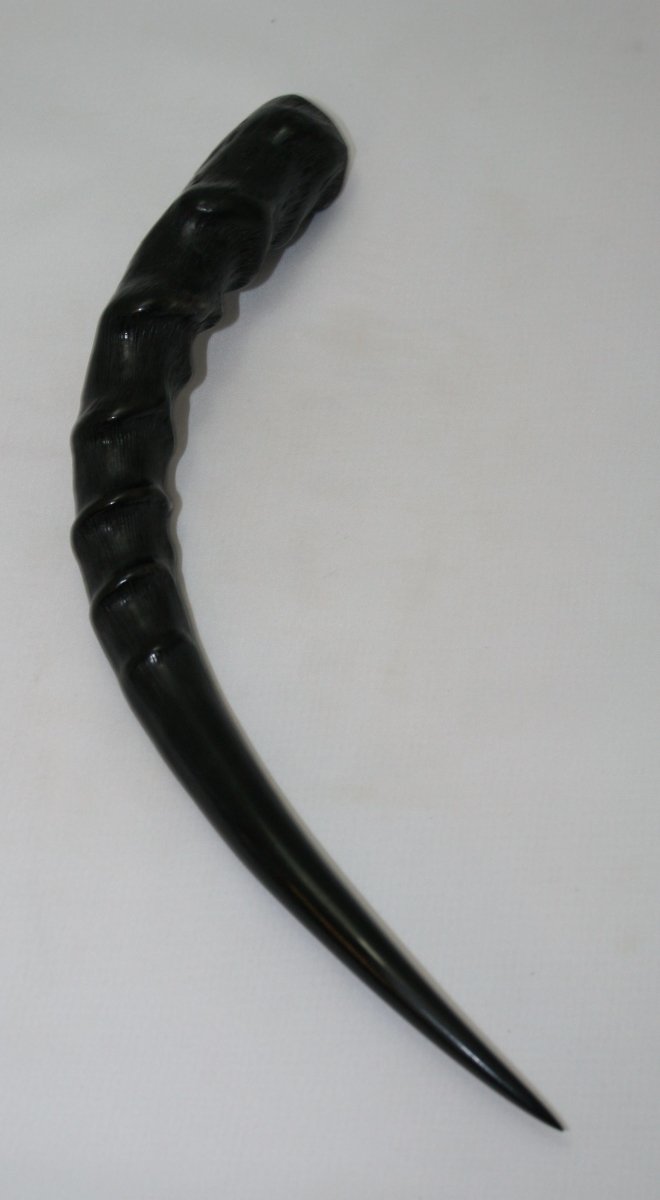 NB802Y41 Impala Horn - Jantz Supply