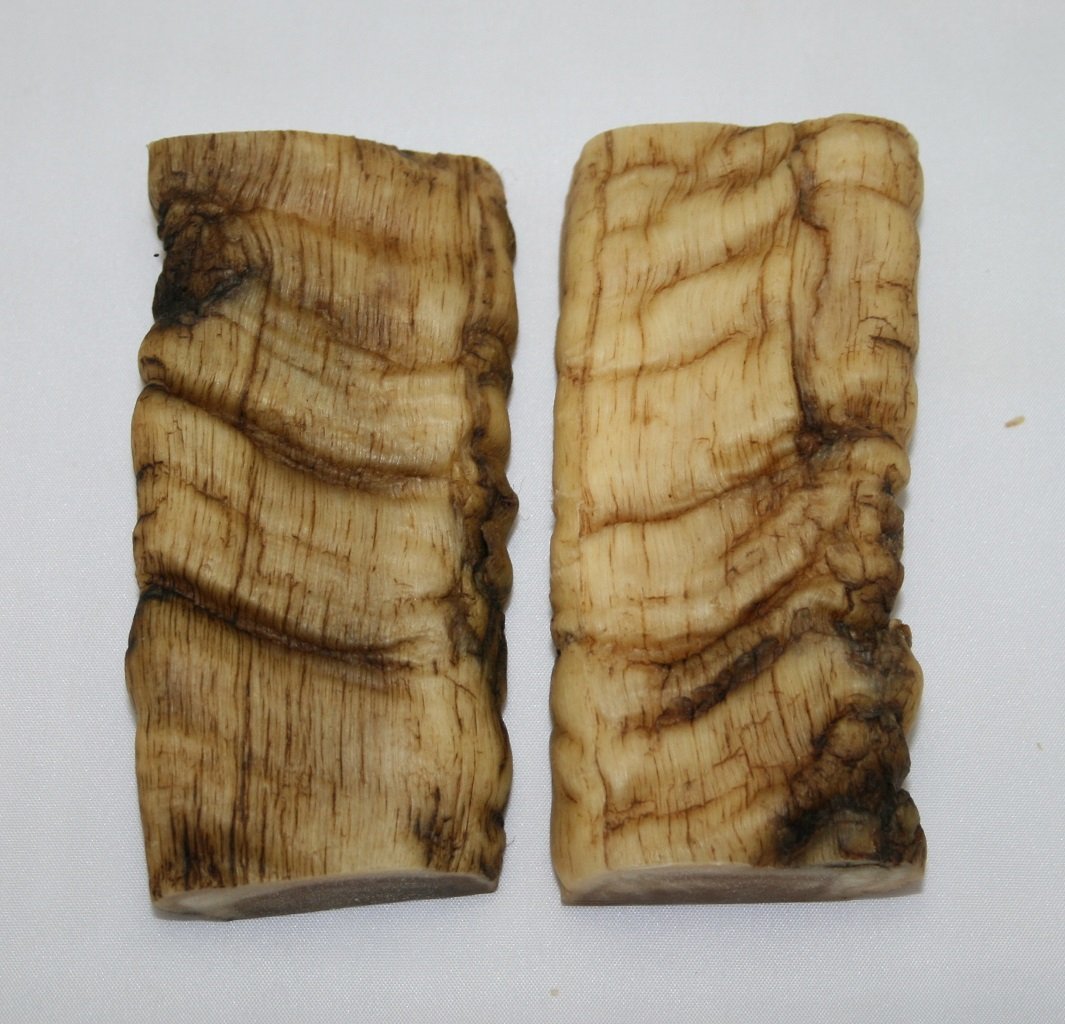 NB901FM12 Merino Ram&#39;s Horn Flat Block Scales - Jantz Supply