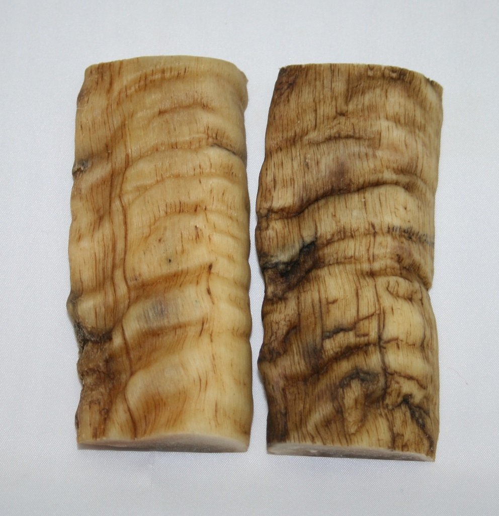 NB901FM29 Merino Ram&#39;s Horn Flat Block Scales - Jantz Supply