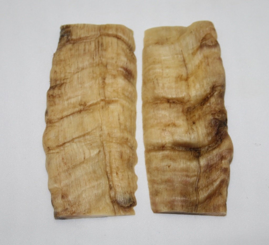 NB901FM37 Merino Ram&#39;s Horn Flat Block Scales - Jantz Supply