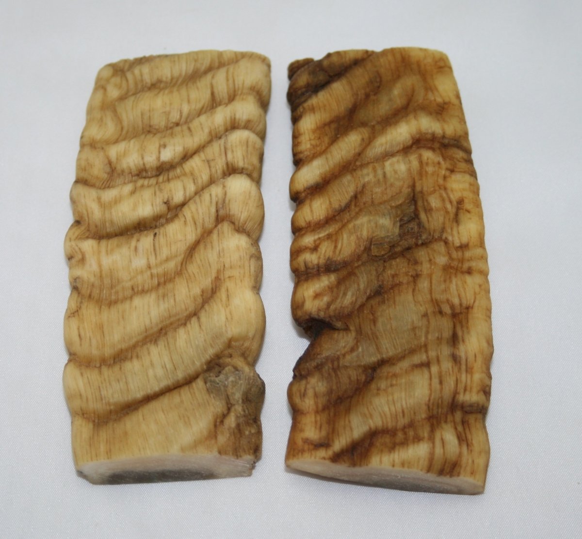 NB901M26 Merino Ram&#39;s Horn Flat Block Scales - Jantz Supply