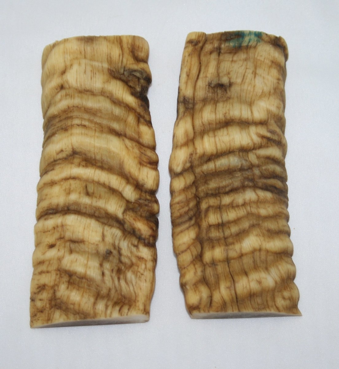 NB901M27 Merino Ram&#39;s Horn Flat Block Scales - Jantz Supply