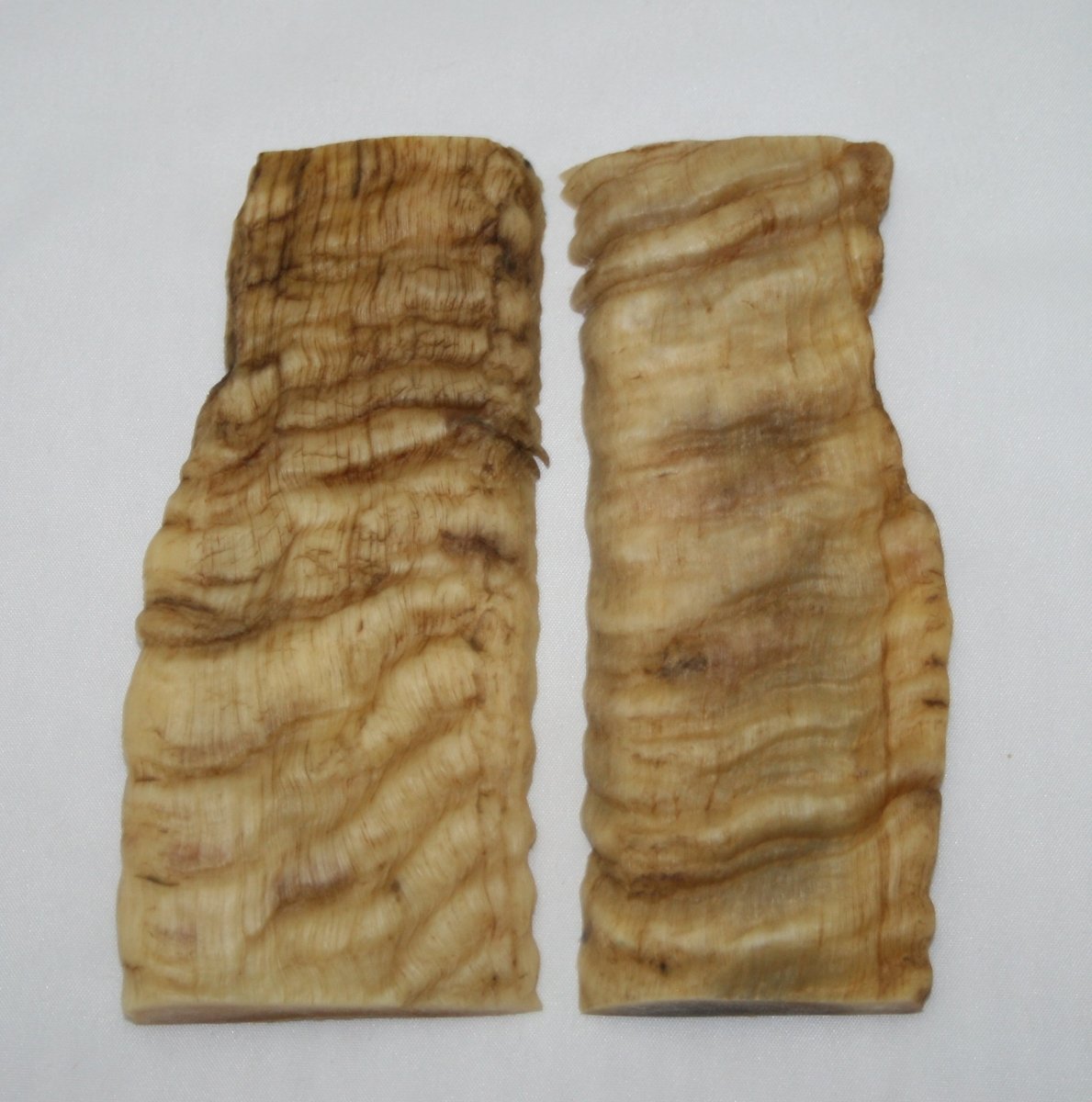 NB901M29 Merino Ram&#39;s Horn Flat Block Scales - Jantz Supply