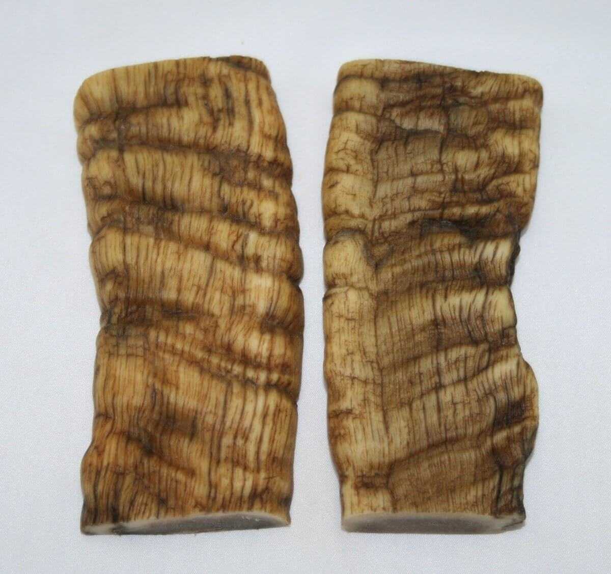 NB901M33 Merino Ram&#39;s Horn Flat Block Scales