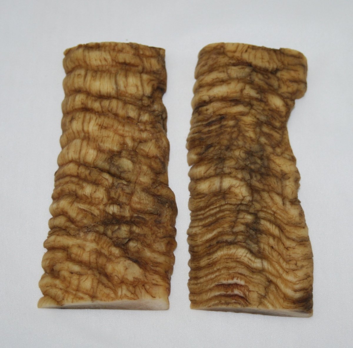 NB901M34 Merino Ram&#39;s Horn Flat Block Scales - Jantz Supply