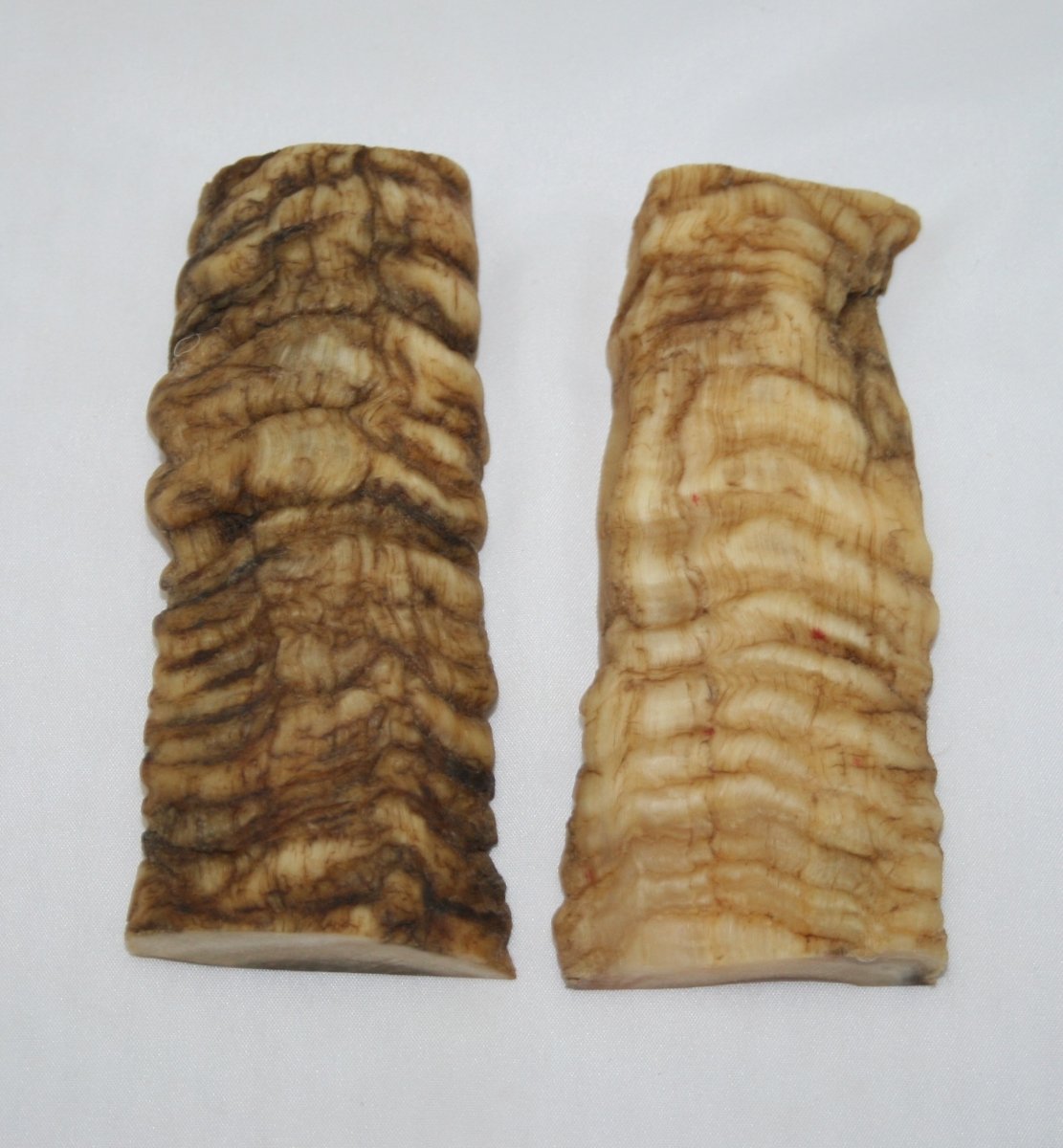 NB901M37 Merino Ram&#39;s Horn Flat Block Scales - Jantz Supply