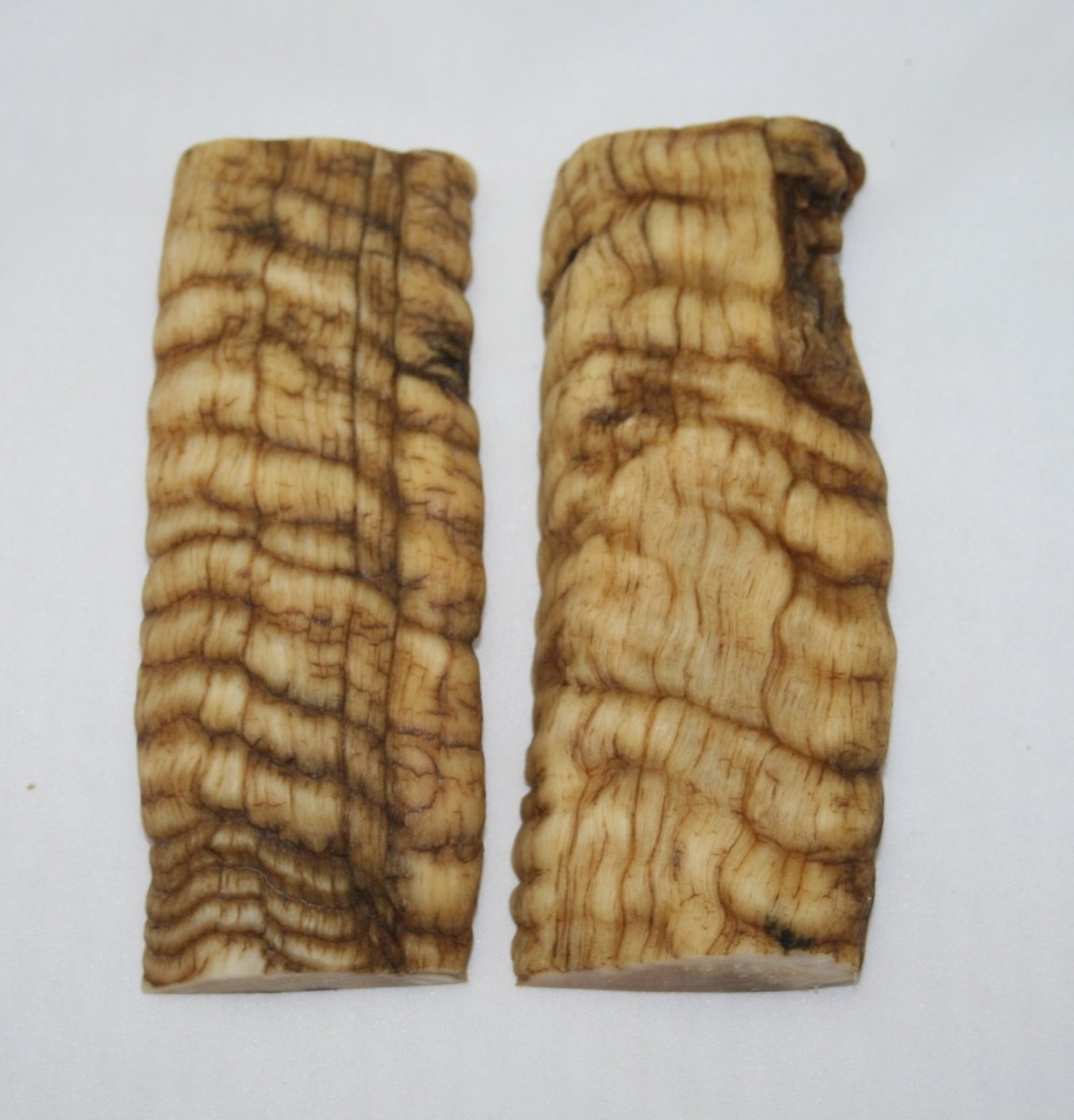 NB901M46 Merino Ram&#39;s Horn Flat Block Scales - Jantz Supply