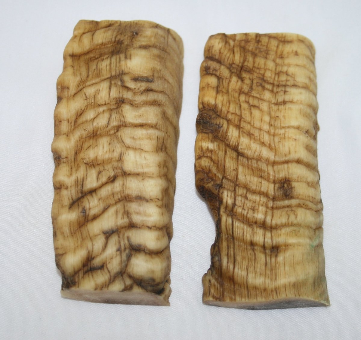 NB901T108 Merino Ram&#39;s Horn Flat Block Scales - Jantz Supply