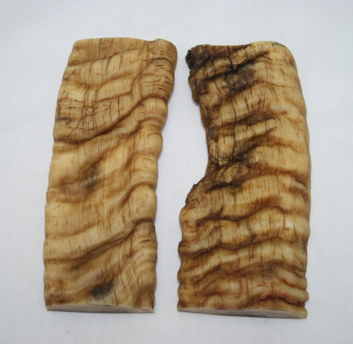 NB901T110 Merino Ram&#39;s Horn Flat Block Scales - Jantz Supply