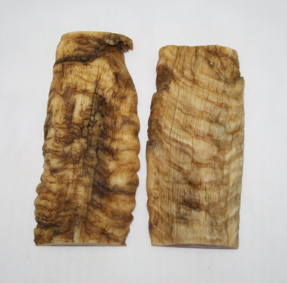 NB901T112 Merino Ram&#39;s Horn Flat Block Scales - Jantz Supply