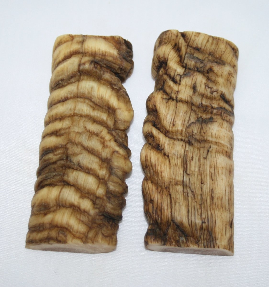 NB901T115 Merino Ram&#39;s Horn Flat Block Scales - Jantz Supply