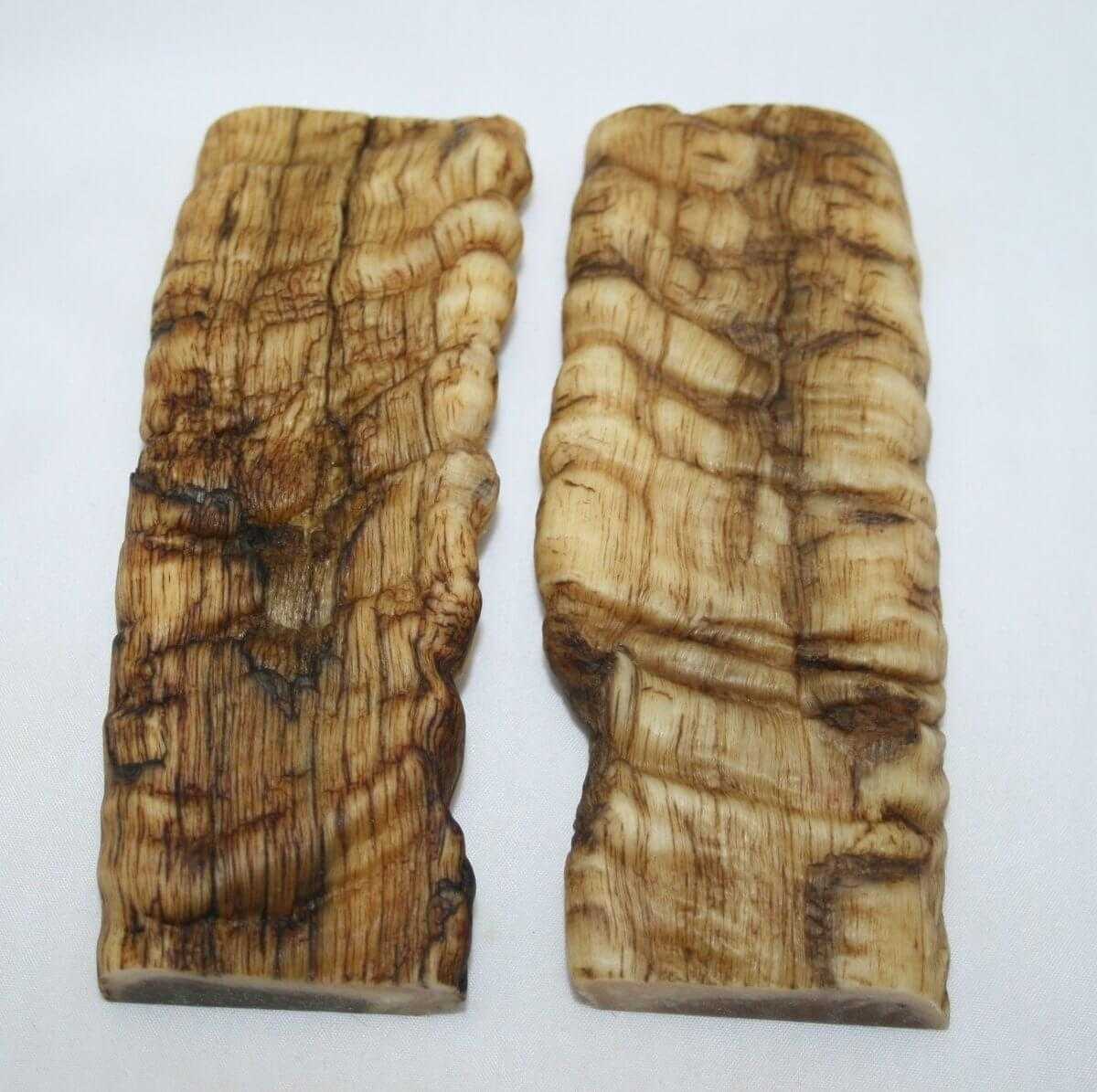 NB901T130 Merino Ram Horn Scales