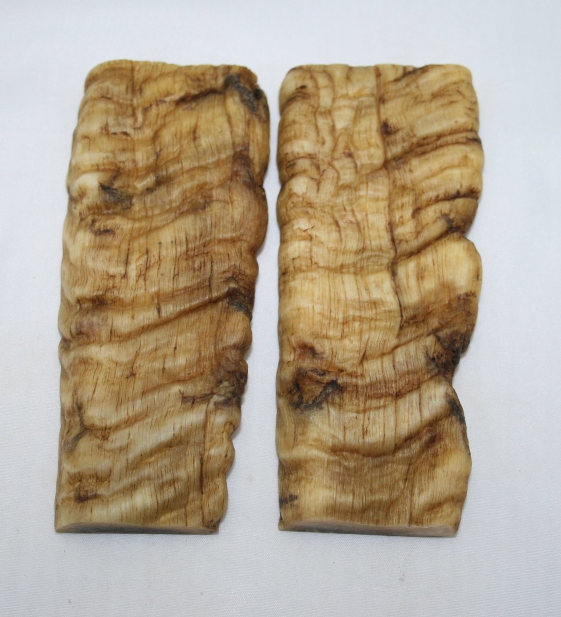 NB901T137 Merino Ram&#39;s Horn Flat Block Scales - Jantz Supply