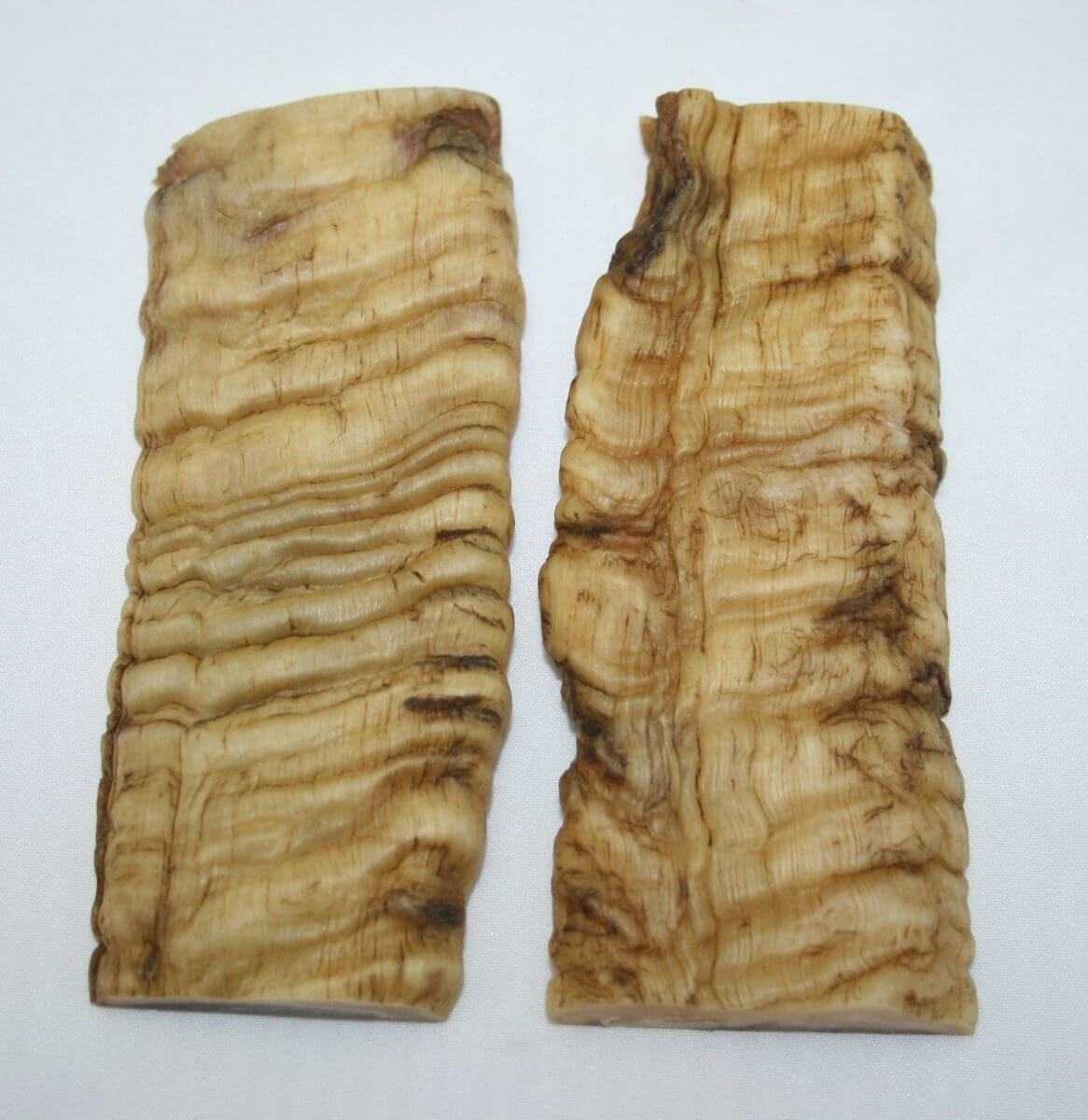 NB901T150 Merino Ram Horn Scales