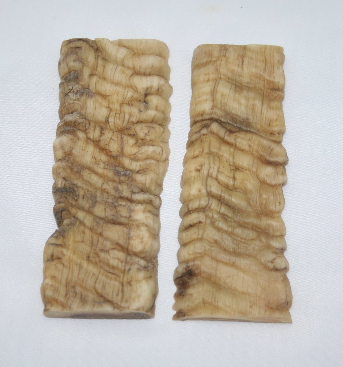 NB901T54 Merino Ram&#39;s Horn Flat Block Scales - Jantz Supply