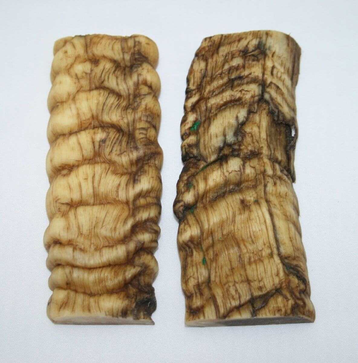 NB901T71 Merino Ram Horn Scales