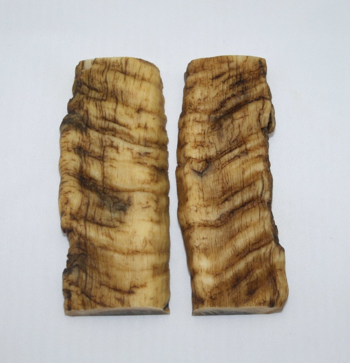 NB901T74 Merino Ram&#39;s Horn Flat Block Scales - Jantz Supply