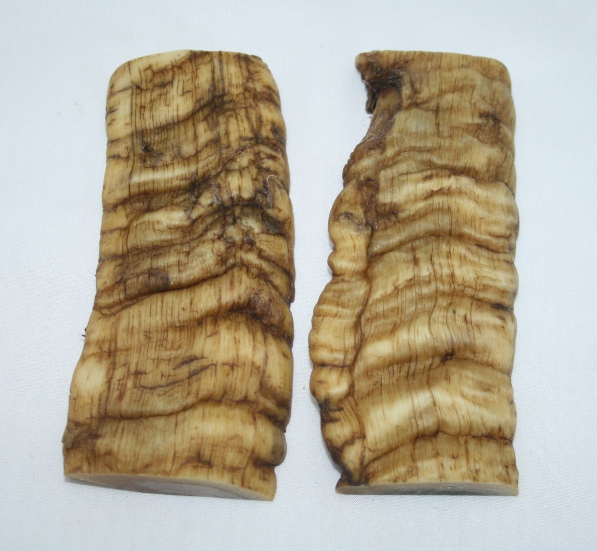 NB901T86 Merino Ram&#39;s Horn Flat Block Scales - Jantz Supply