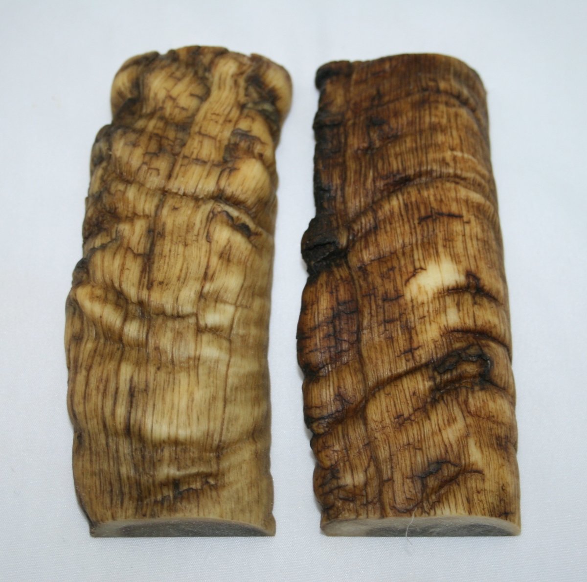 NB901T88 Merino Ram&#39;s Horn Flat Block Scales - Jantz Supply