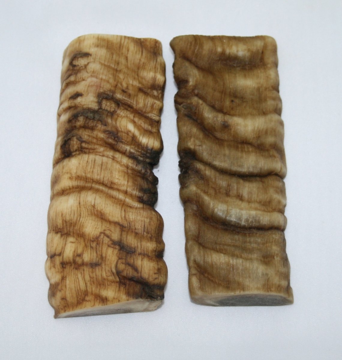 NB901T9 Merino Ram&#39;s Horn Flat Block Scales - Jantz Supply