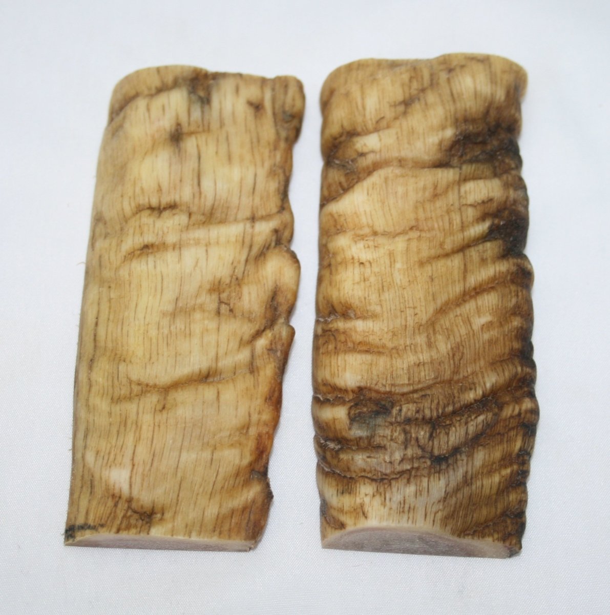 NB901T97 Merino Ram&#39;s Horn Flat Block Scales - Jantz Supply