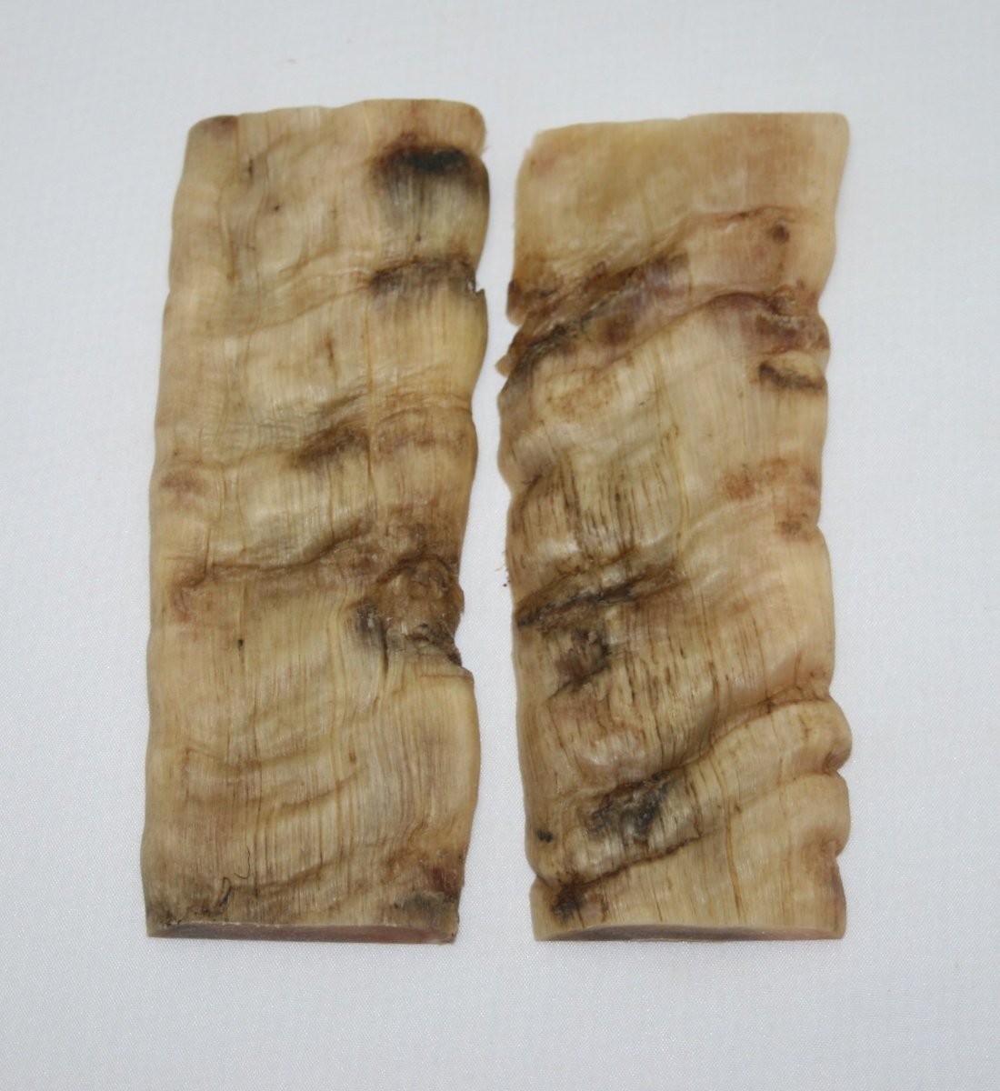 NB901Y17 Merino Ram&#39;s Horn Flat Block Scales - Jantz Supply