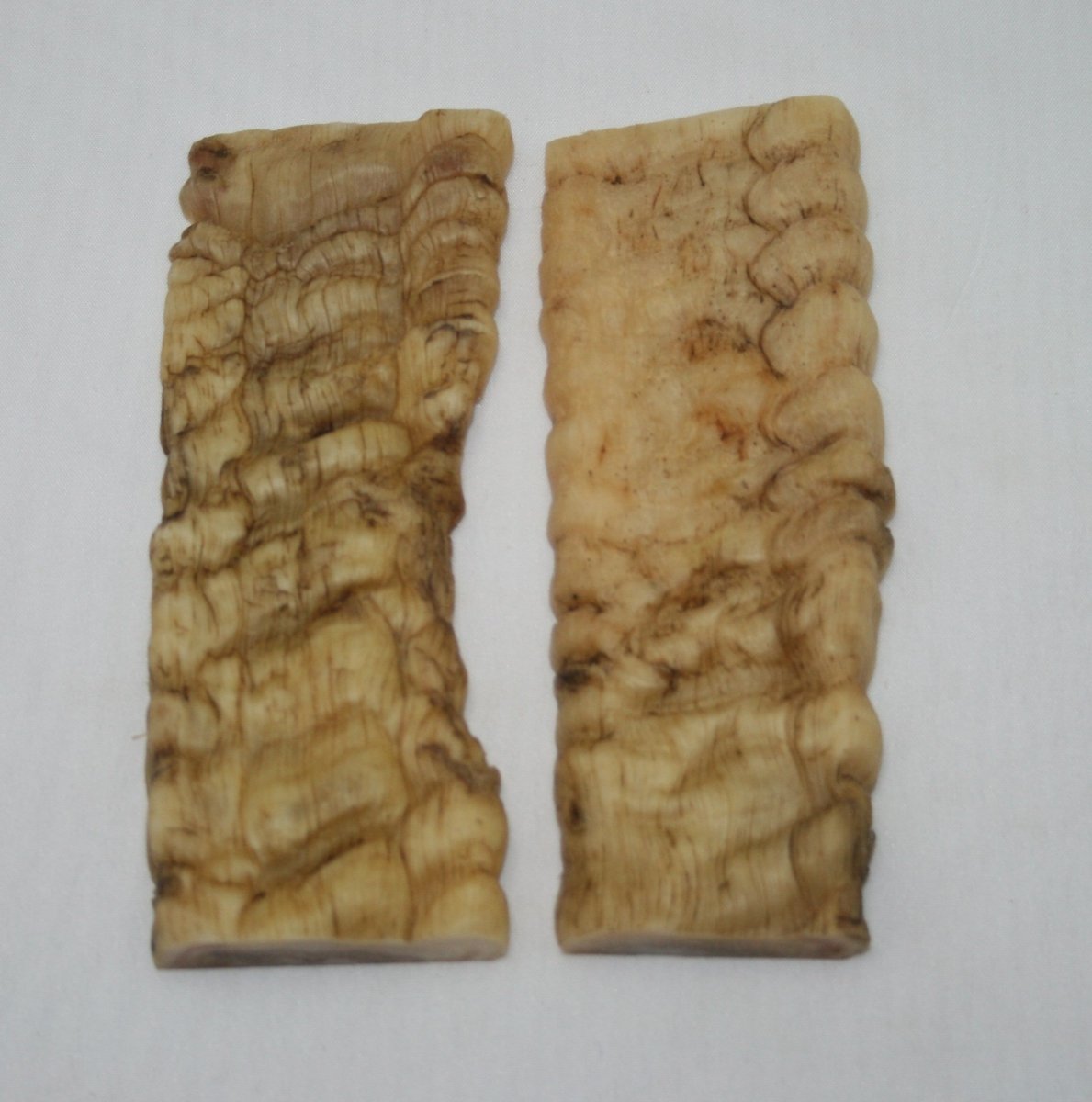 NB901Y61 Merino Ram&#39;s Horn Flat Block Scales - Jantz Supply