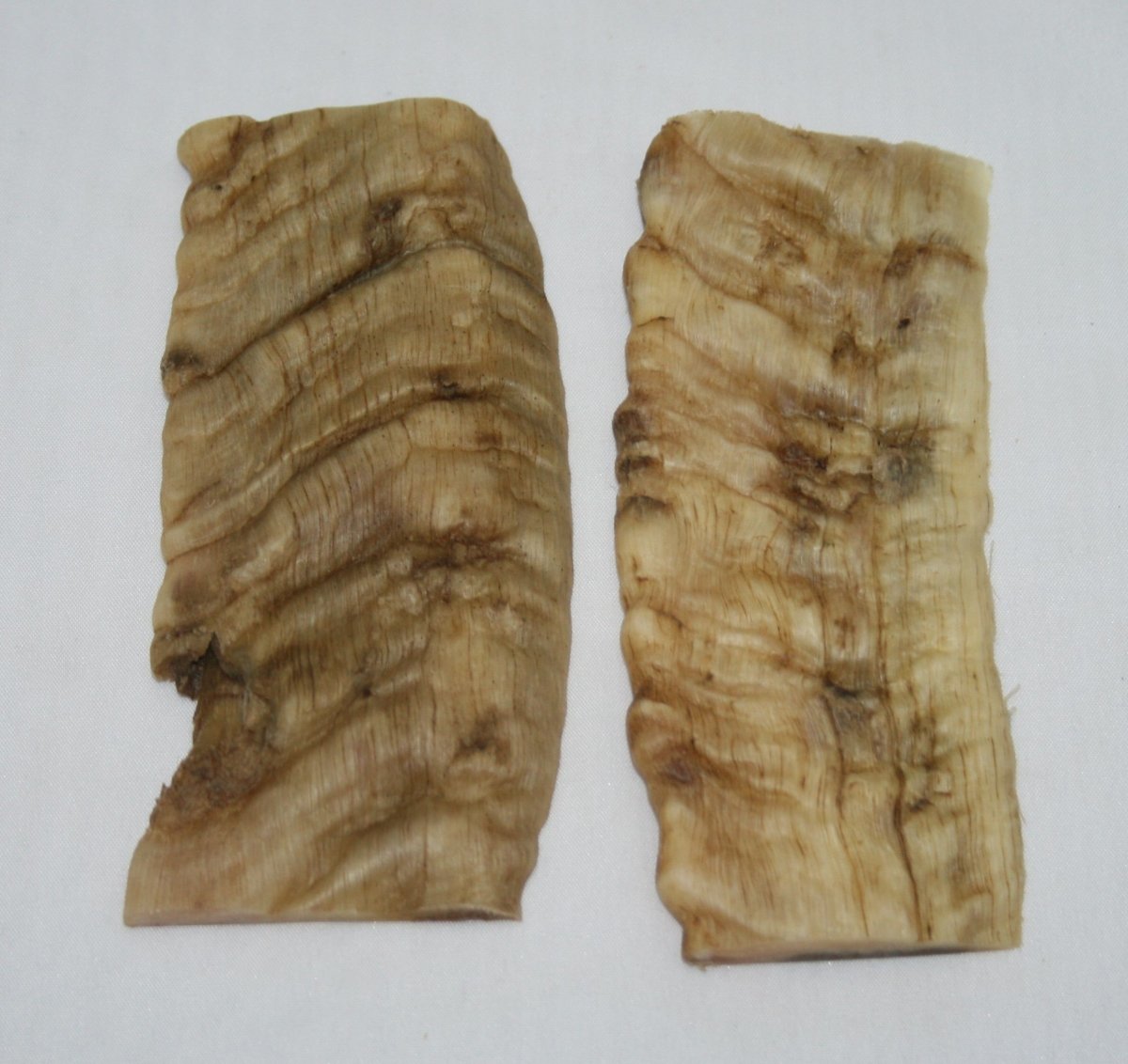 NB901Y96 Merino Ram's Horn Flat Block Scales - Jantz Supply