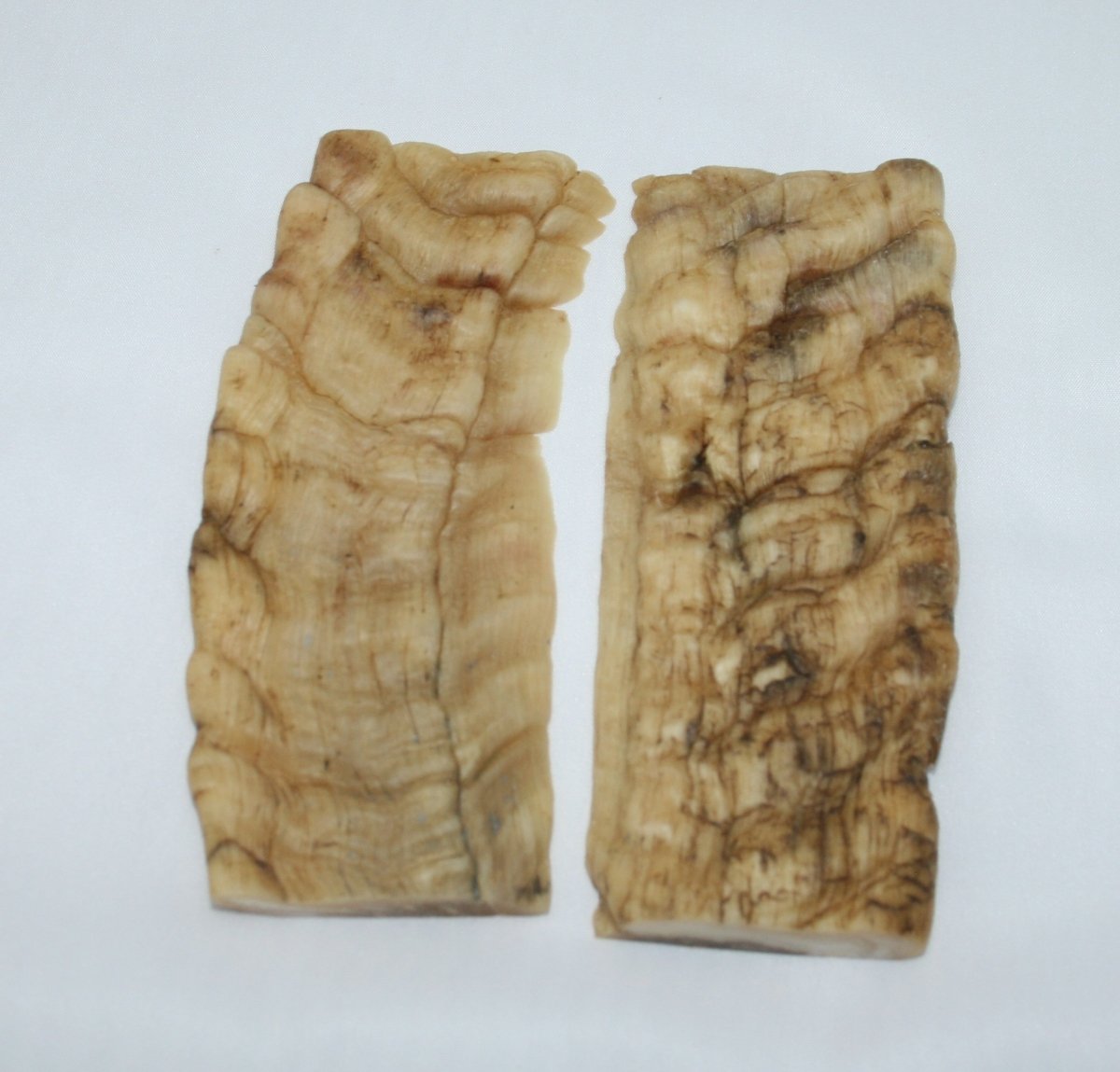 NB902T176 Merino Ram&#39;s Horn Flat Block Scales - Jantz Supply