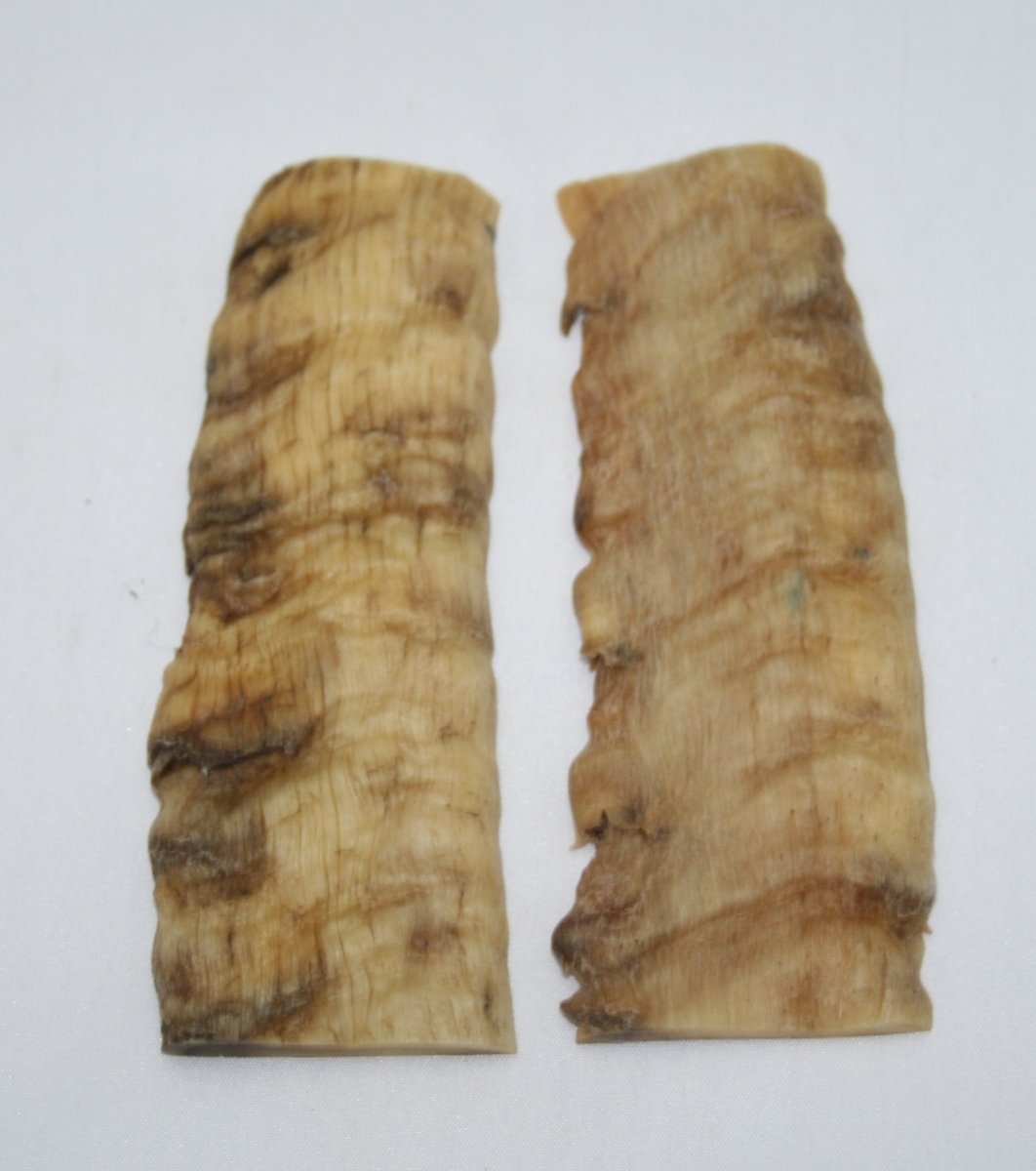 NB903G16 Merino Ram&#39;s Horn Flat Block Scales - Jantz Supply