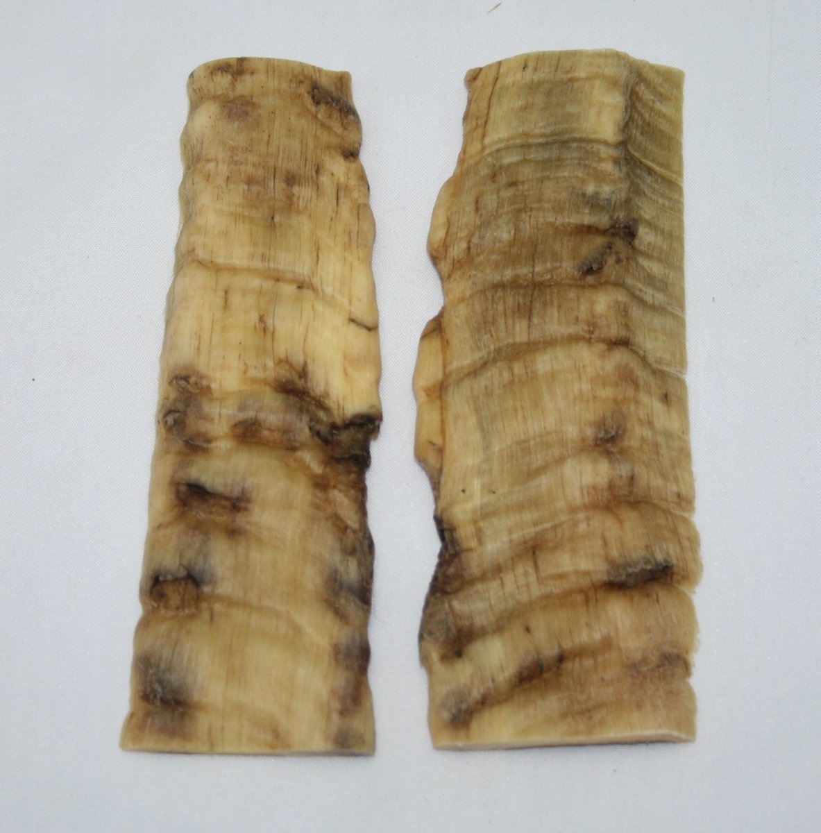 NB903G23 Merino Ram&#39;s Horn Flat Block Scales - Jantz Supply