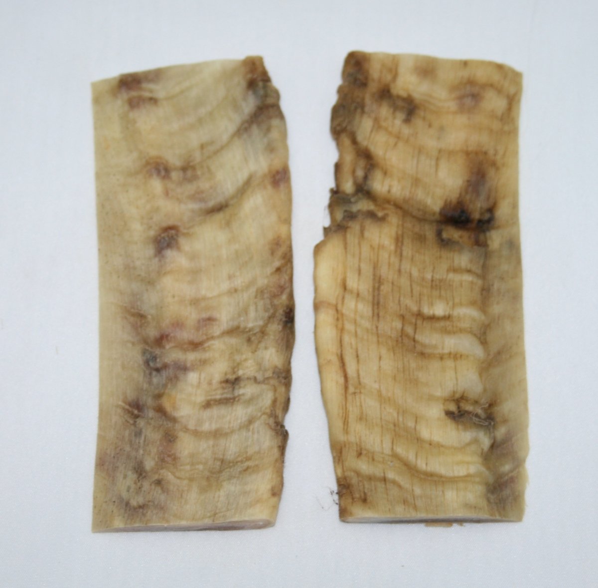 NB903G37 Merino Ram&#39;s Horn Flat Block Scales - Jantz Supply